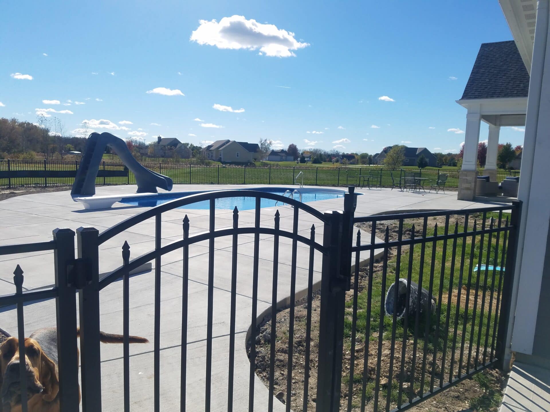 Arched Gate Pool Fence